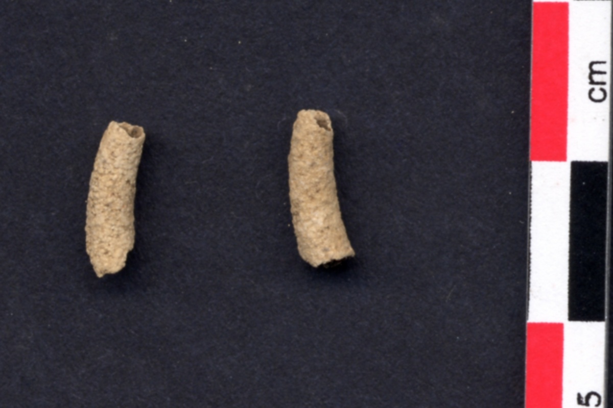 astucci di tricotteri del Neolitico